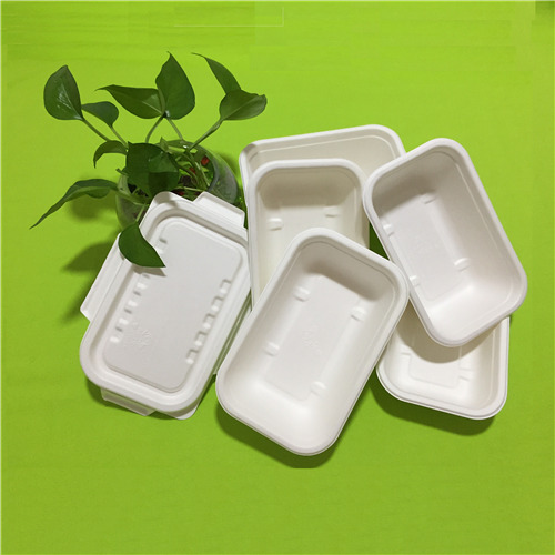 beneficia bagasse tableware