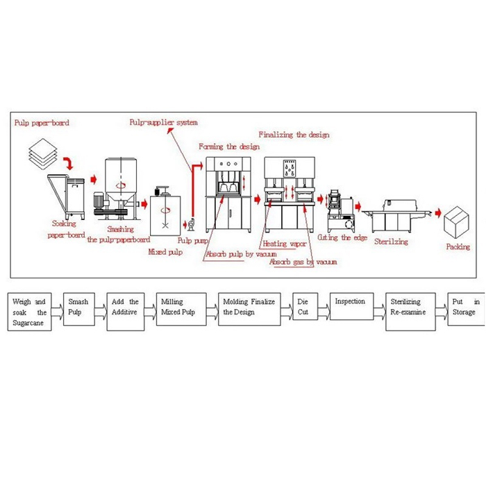bagasse tableware productionem processus
