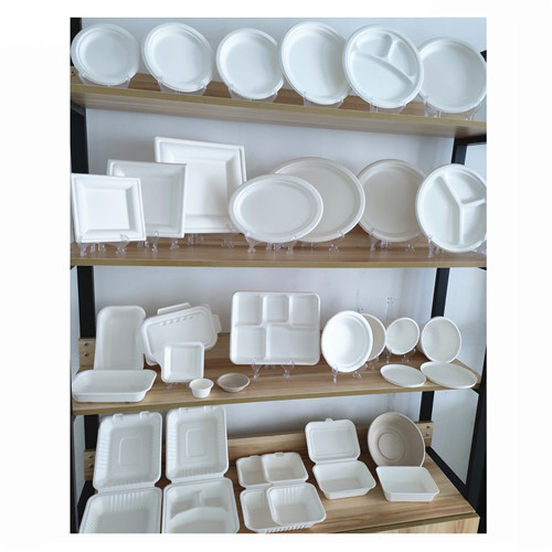 saccharum bagasse tableware