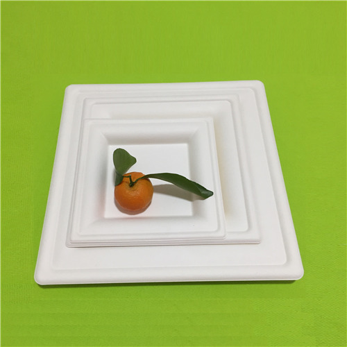 nova bio laminam update oblatio pro adventu fine MMXIX 