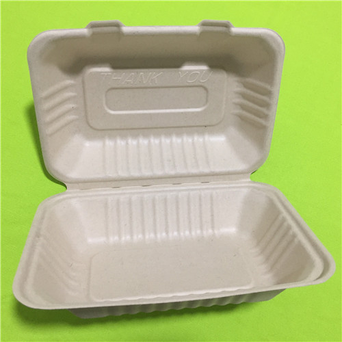biodegradable Saccharum pulpam clamshell arca