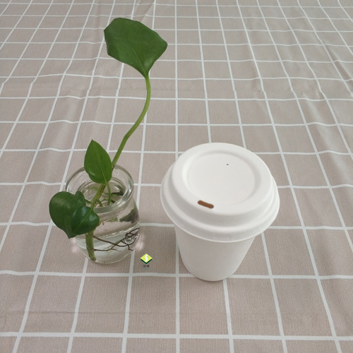 biodegradable saccharum pulpam calicem et operculum