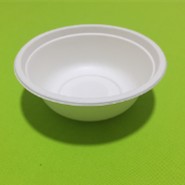 pulmenti patera biodegradable saccharum pulpam