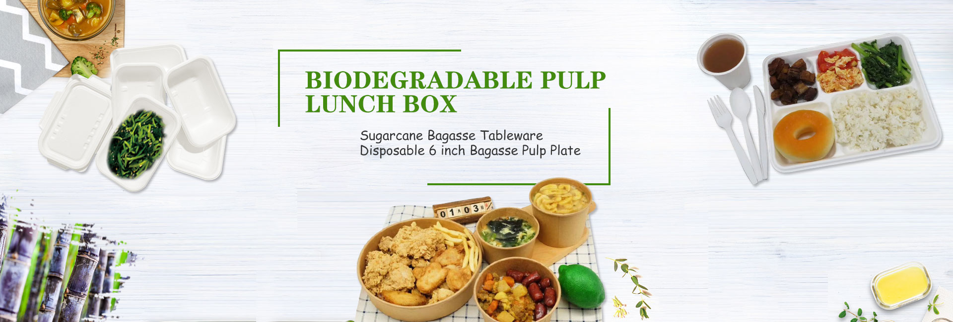 Saccharum Bagasse Tableware
