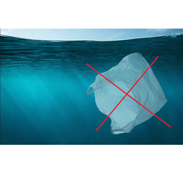 South Korea bans plastic sacculos, uno usu