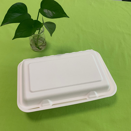 novum bagasse cibum continens