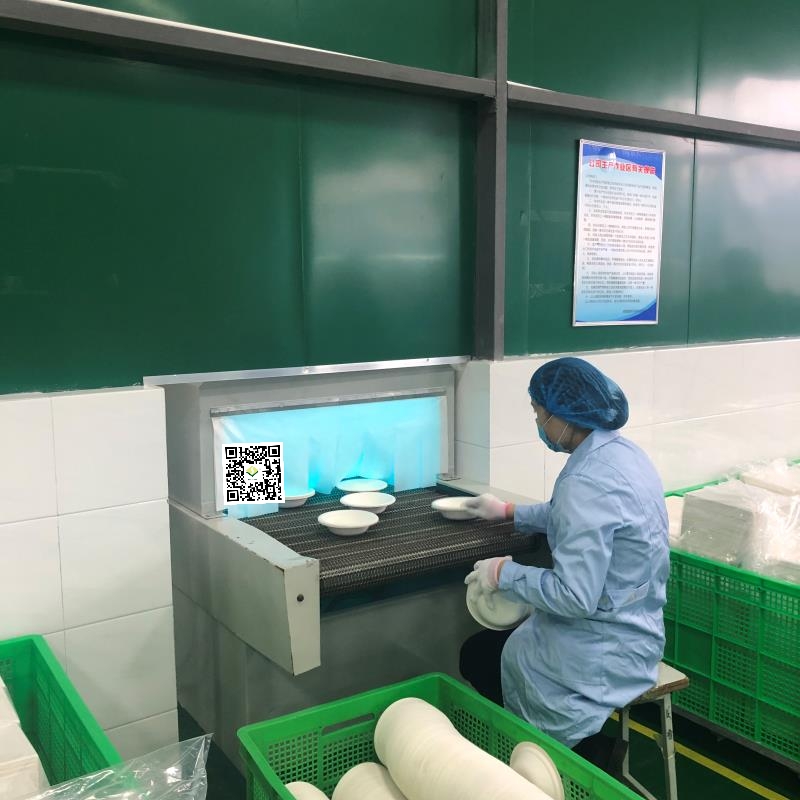 Mos visita saccharo bagasse tableware officinam