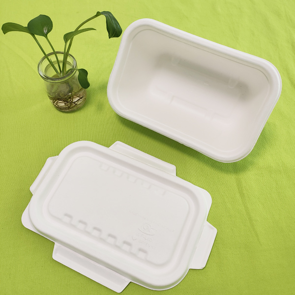 Shenglin Packaging's Foreign Trade Department organised scientiam commutationis colloquium in bagasse tableware