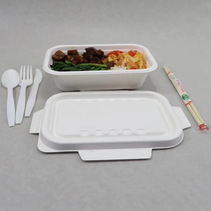 Shenglin Packaging Bagasse Tableware Causa Socius Conference