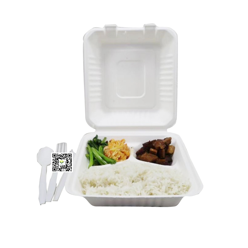 Saccharum bagasse ut buxum productio est
