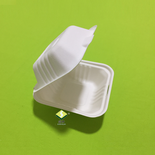 Saccharum bagasse clamshell scriniorum referta et parata uit