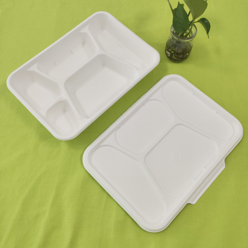 Ipsumque cum cellula bagasse V operculo