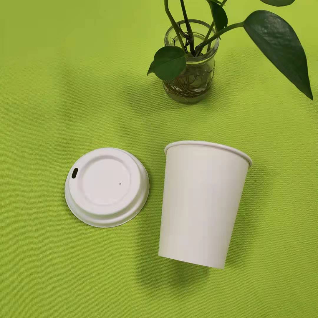 magis informationes de bagasse pulpam tableware