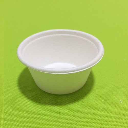 saccharum bagasse pulpam condimentum poculum