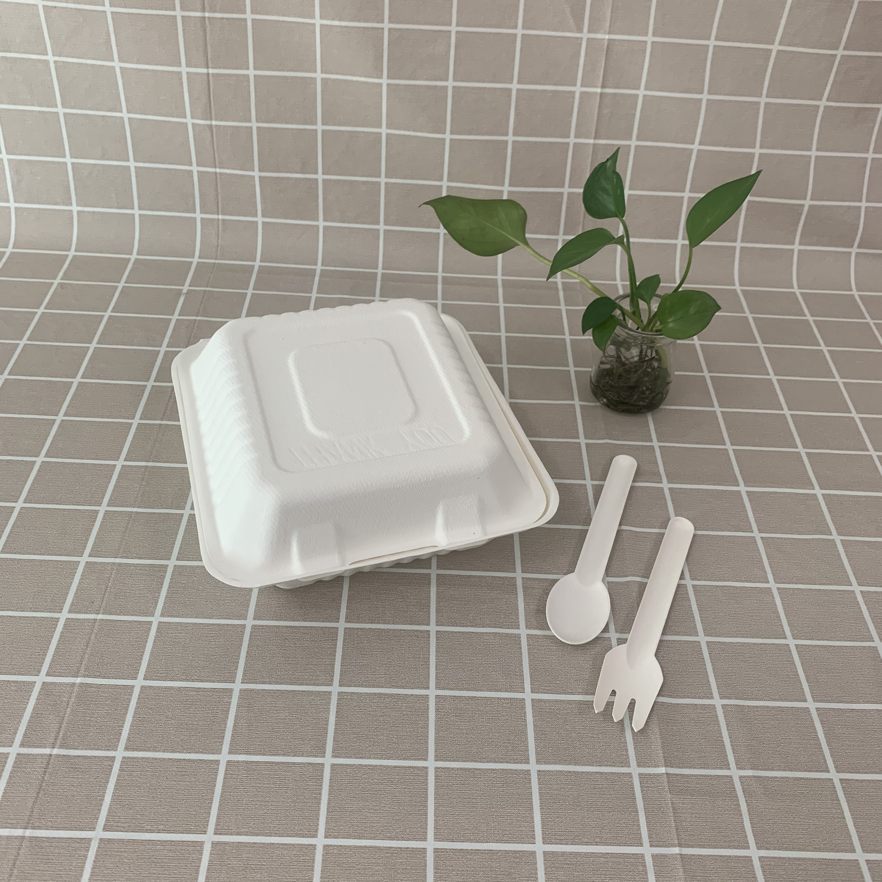 Oneratisque Eco bagasse cibum vasis
