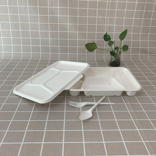 Eco bagasse oneratisque cibum boxes