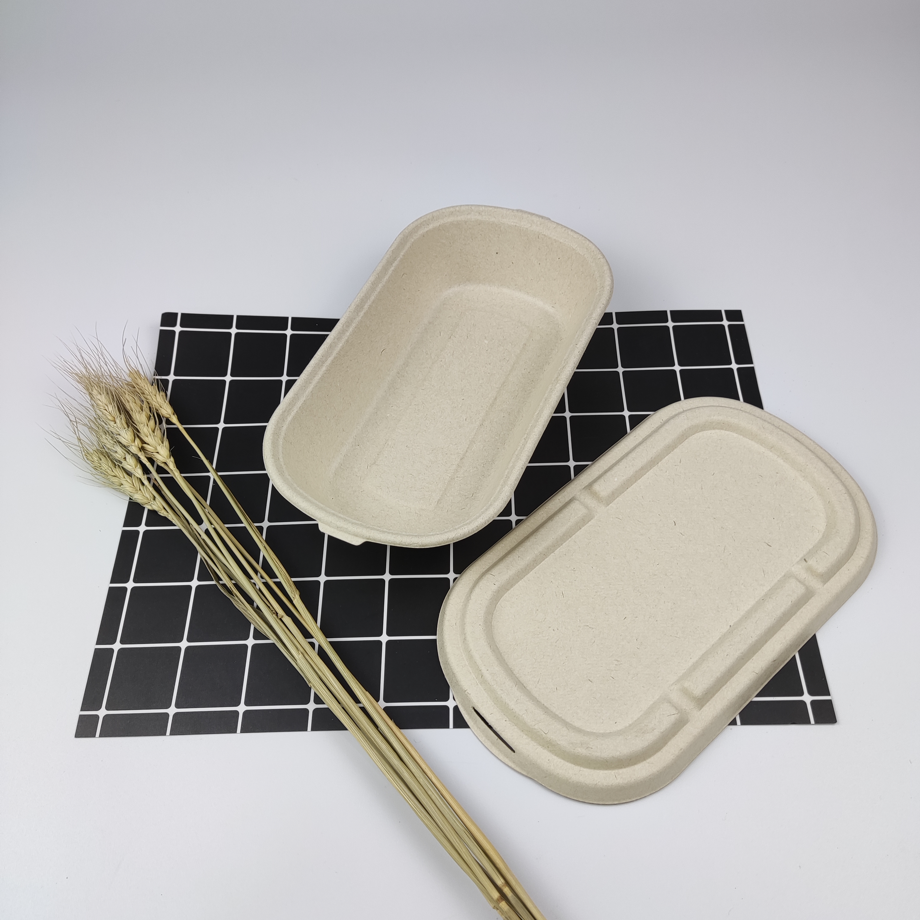 Sugarcane 750 ml Continens Cum Lid