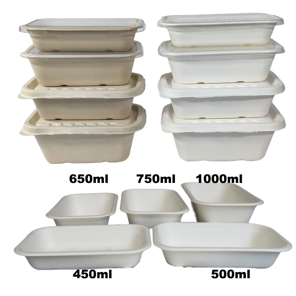 Longa vasa rectangula bagasse
