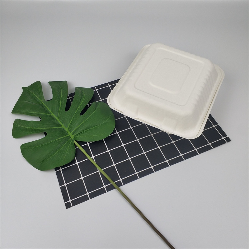 IX inch saccharum bagasse cibum arca