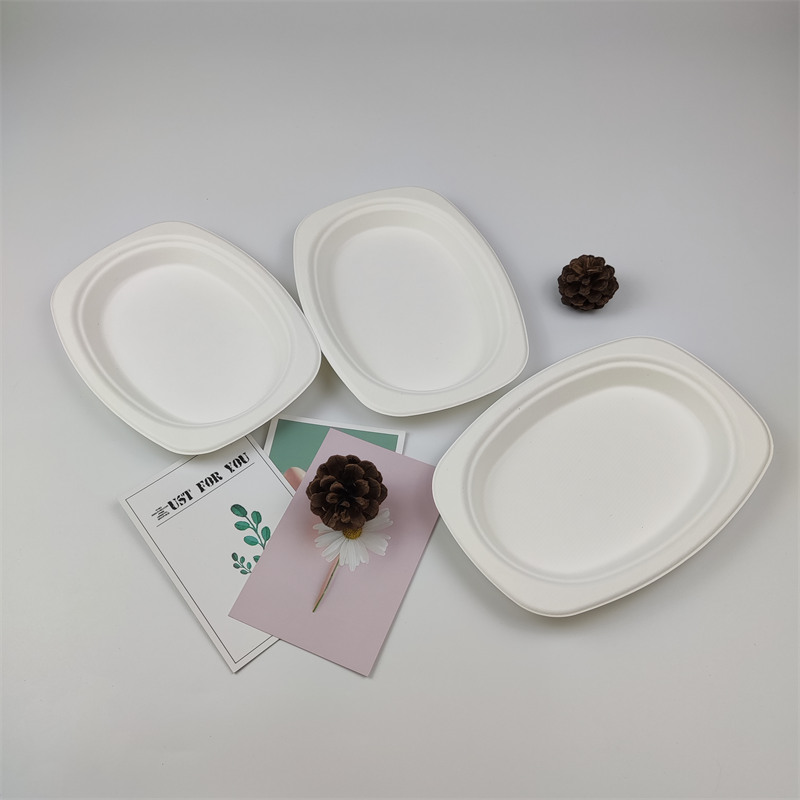 commoda Bagasse Pulpam Products