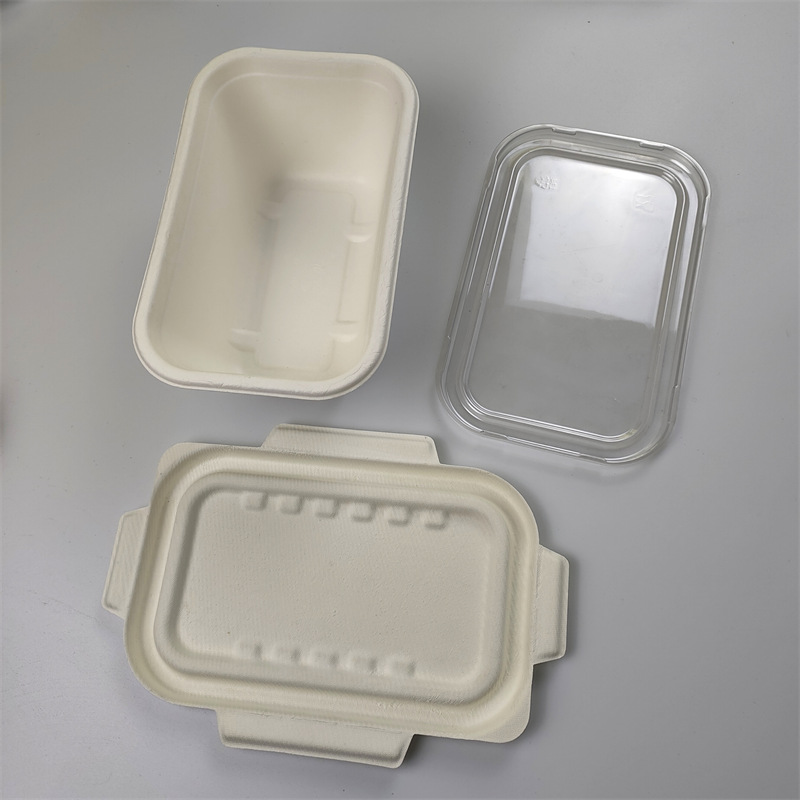 1000 ml Bagasse Container