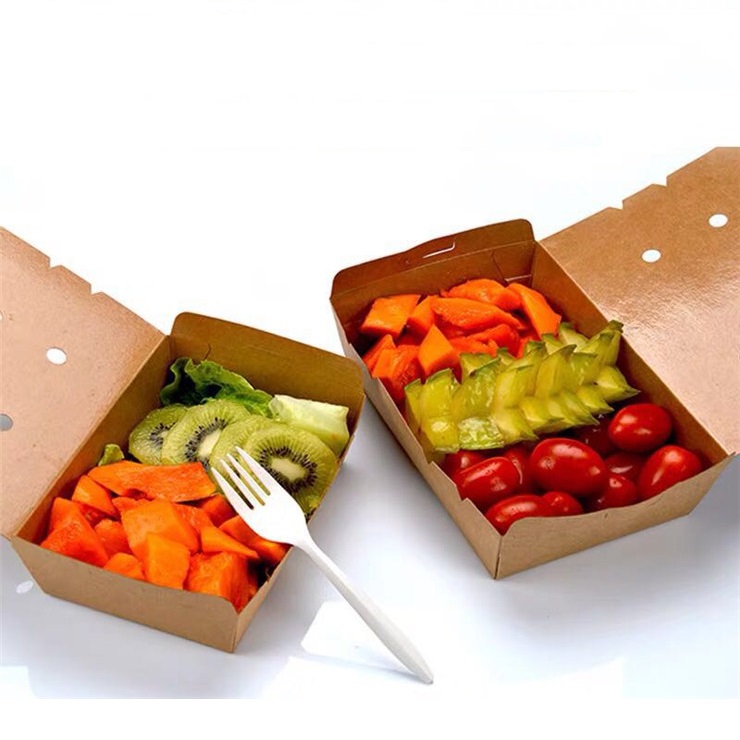 Kraft Paper Food Box Cum foraminibus