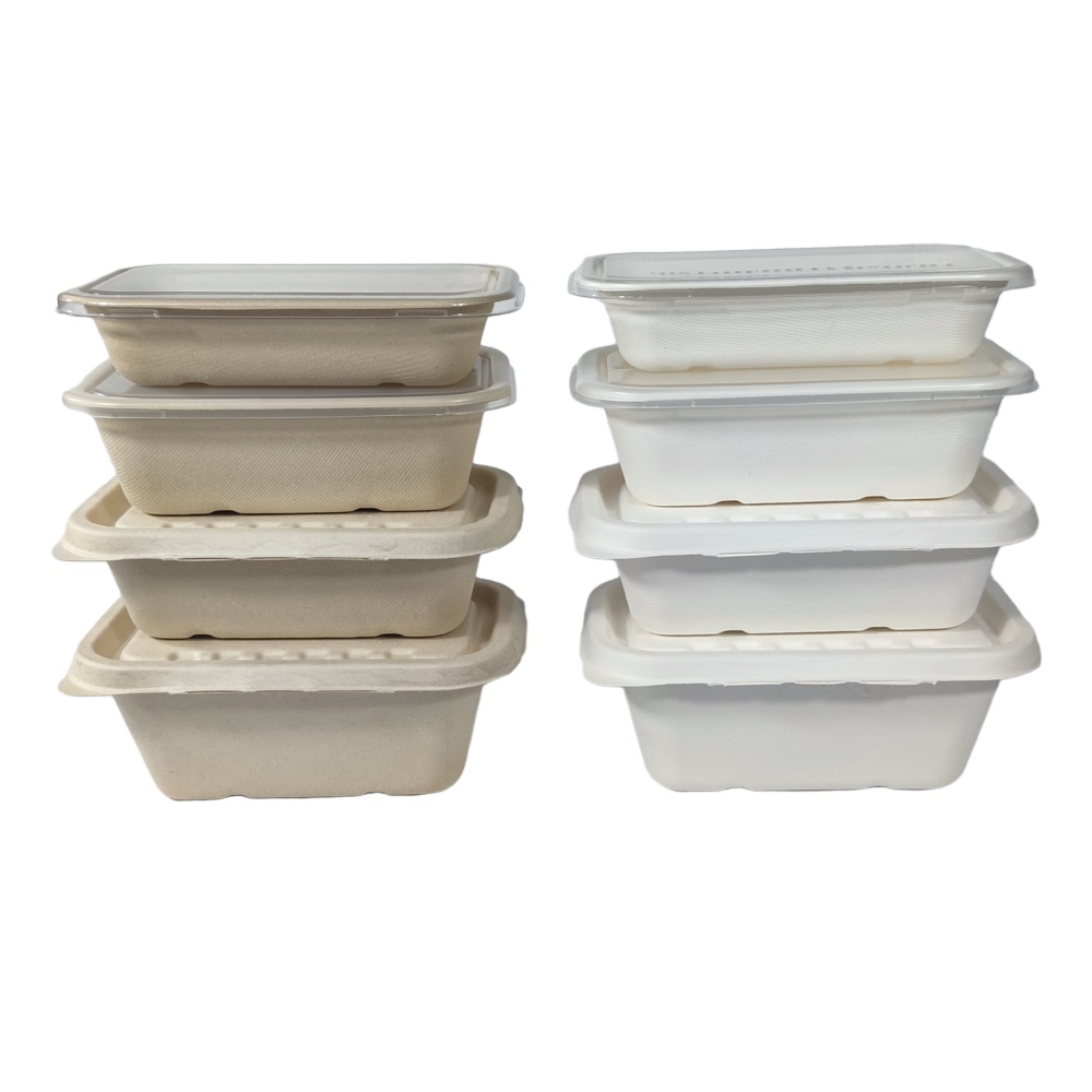 plastic ban in New South Wales, Australia cum November 1st