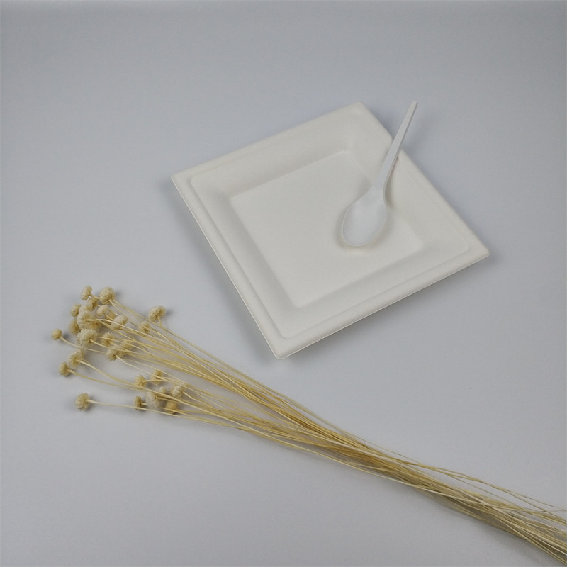 VI inch quadratum bagasse laminis