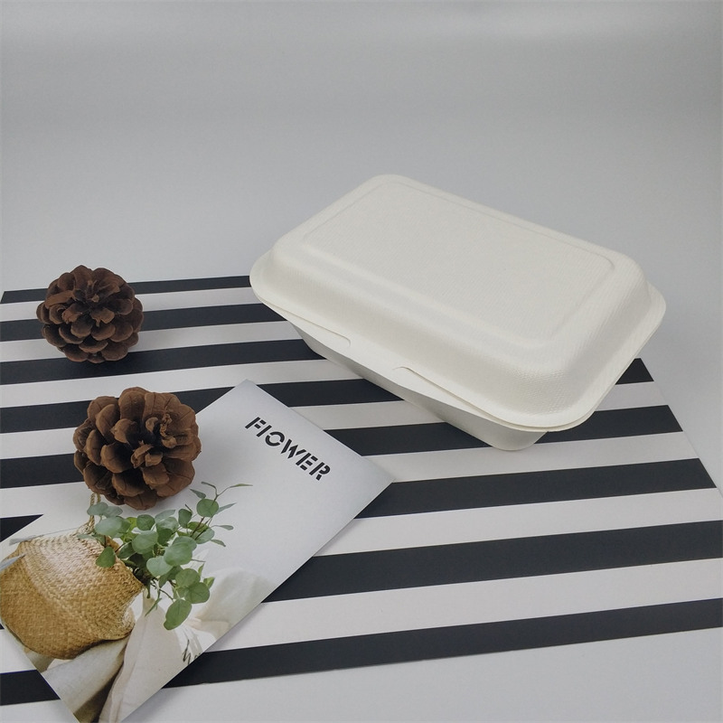 600-650ml Biodegradable Disposable Sugarcane Bagasse Prandium Box