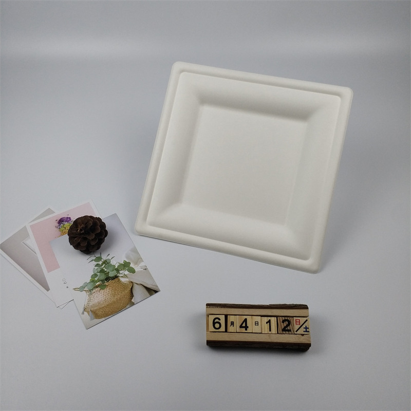 VIII inch bagasse quadrata laminam