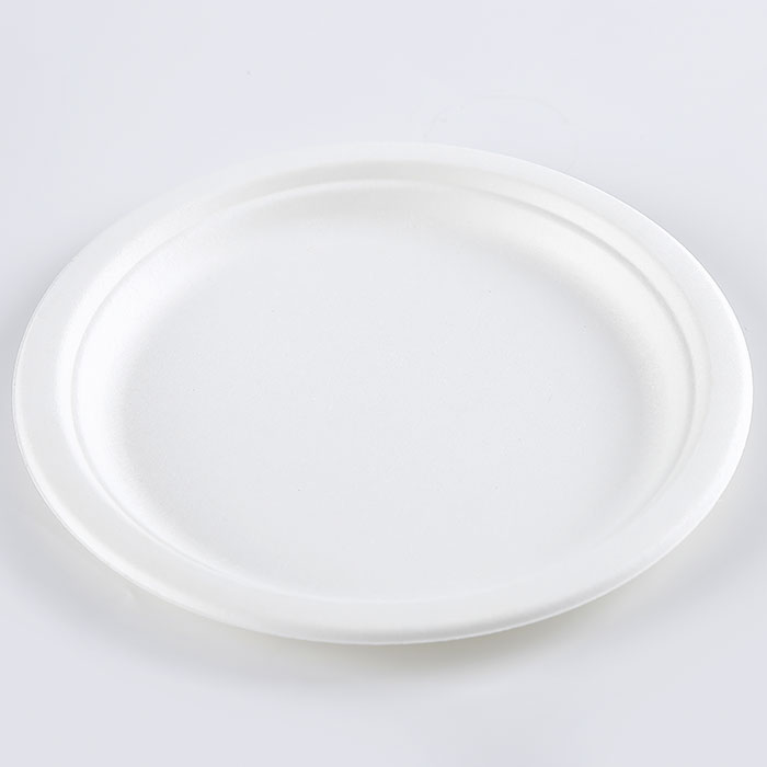 IX inch bagasse laminam