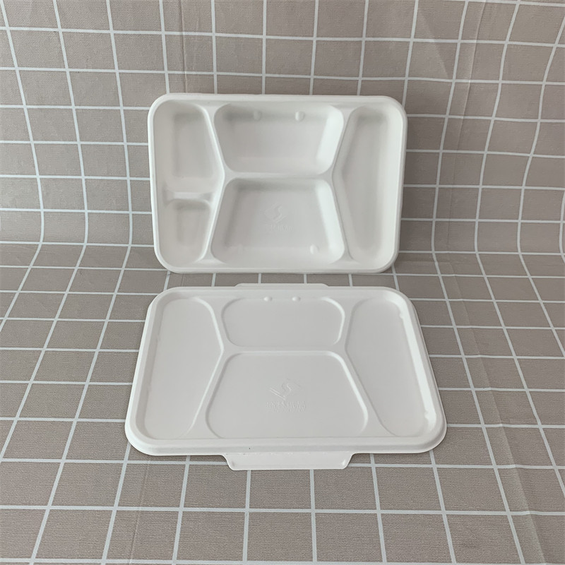 Ipsumque cum cellula bagasse V operculo