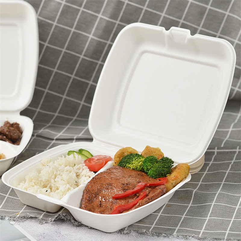 Bagasse 9 inch 2 cellula takeaway box