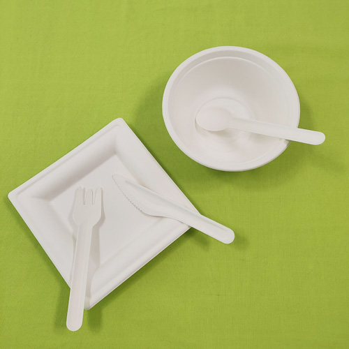 bagasse ferramentorum