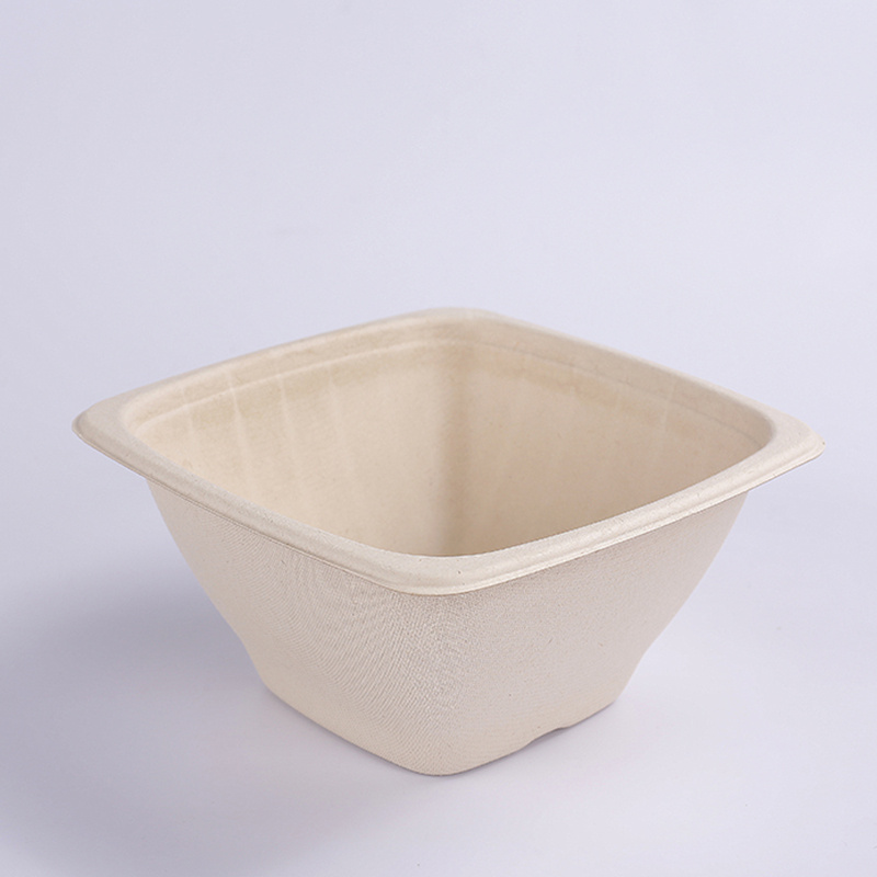 bagasse quadrata patera