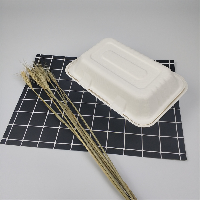 Biodegradable PROMPTU Sugarcane Bagasse IX * 6inch ire Food Box