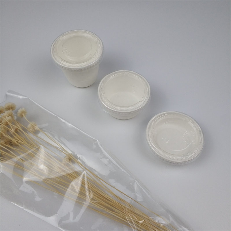 compostable condimentum poculum