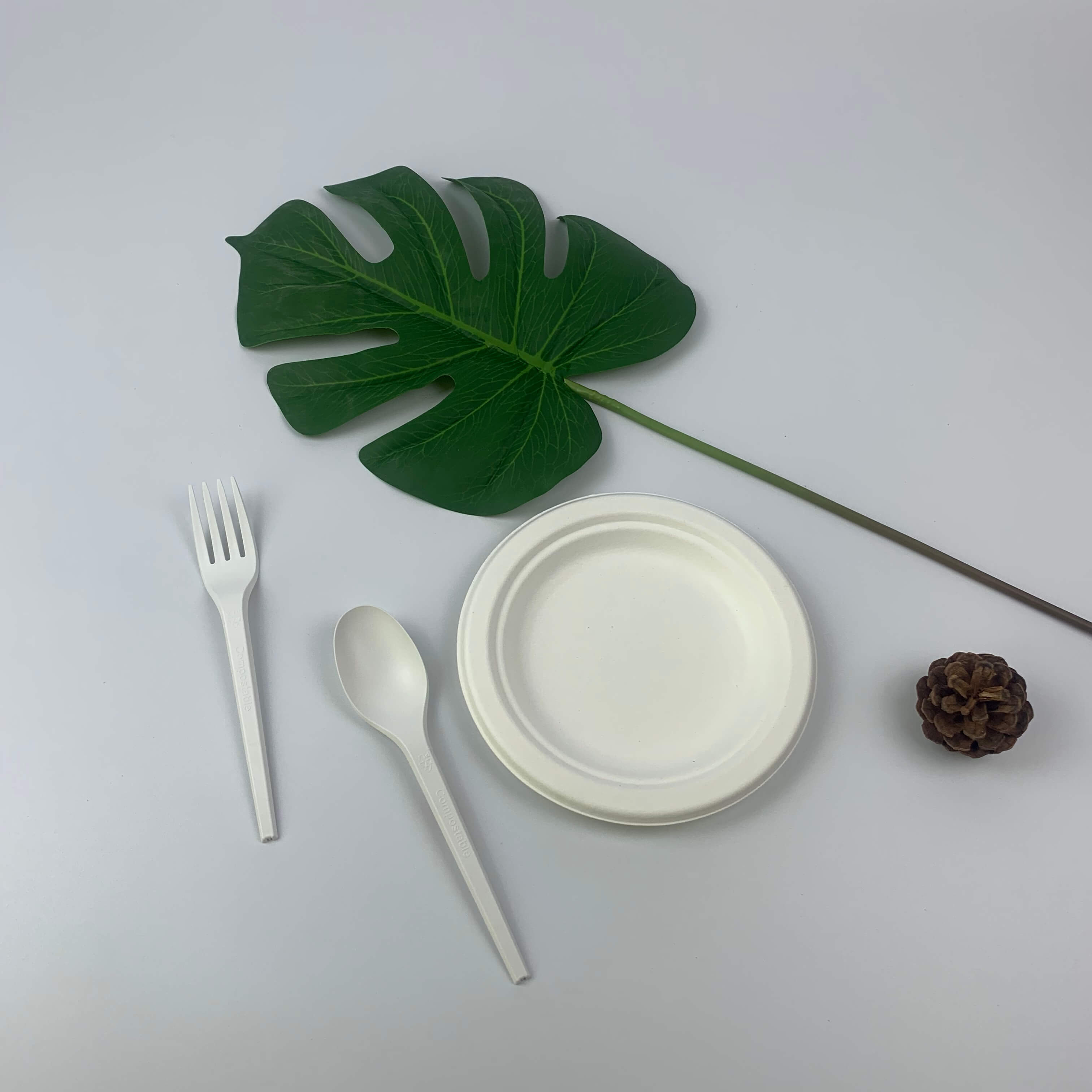 PROMPTU VI inch Bagasse Pulpam Plate Paper Tableware Round Plates