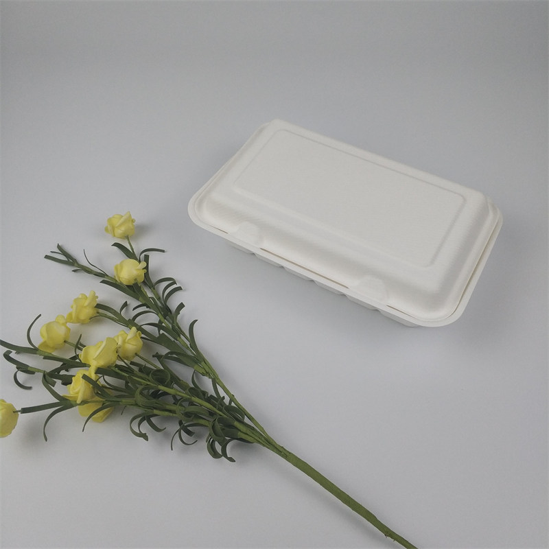 Eco bagasse charta clamshell greges