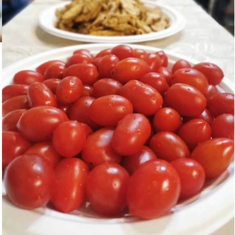 Fiber Pulpam Bagasse Tableware Plates