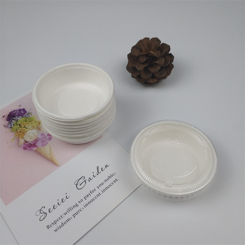 saccharum bagasse pulpam condimentum poculum