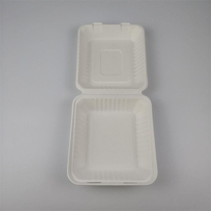 Saccharum bagasse ut archa