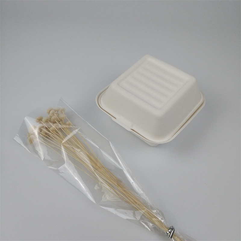 Saccharum cibum vasa
